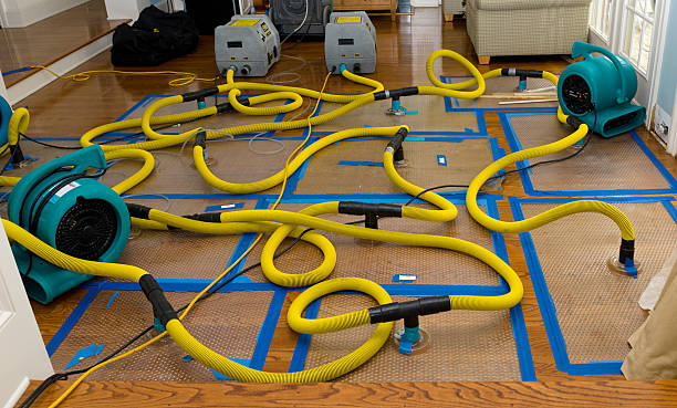 Professional Storm Water Damage Restoration technician working in Spring Lake, NJ